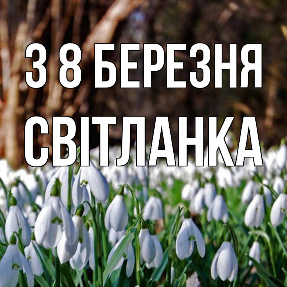 Открытка на каждый день з підписом, Світланка З 8 БЕРЕЗНЯ с подснежниками 1 Прикольна листівка з побажанням онлайн скачати безкоштовно 