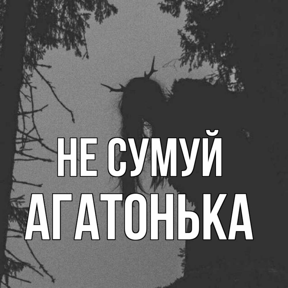 Открытка на каждый день з підписом, Агатонька Не сумуй чудище лесное Прикольна листівка з побажанням онлайн скачати безкоштовно 