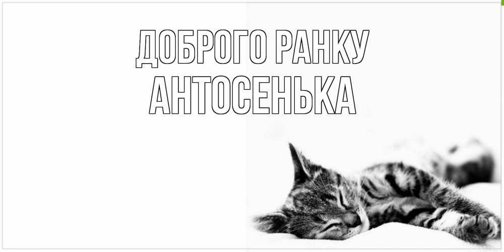 Открытка на каждый день з підписом, Антосенька Доброго ранку котуся Прикольна листівка з побажанням онлайн скачати безкоштовно 