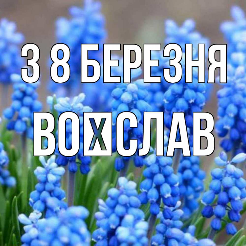 Открытка на каждый день з підписом, Воїслав З 8 БЕРЕЗНЯ Поздравительная открытка для женщин с цветами на праздничную дату Прикольна листівка з побажанням онлайн скачати безкоштовно 
