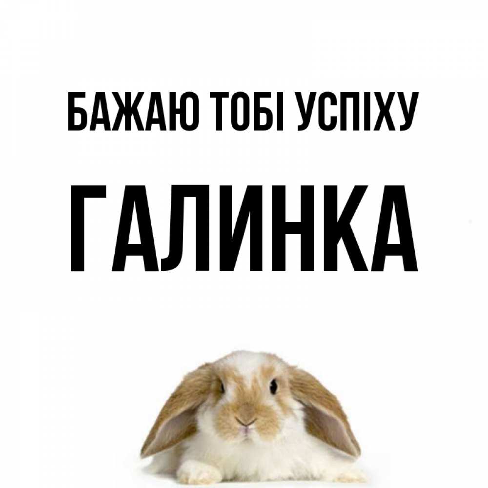 Открытка на каждый день з підписом, Галинка Бажаю тобі успіху открытки с произвольным текстом который можно вставить в открытку и создать ее самостоятельно бесплатно онлайн Прикольна листівка з побажанням онлайн скачати безкоштовно 