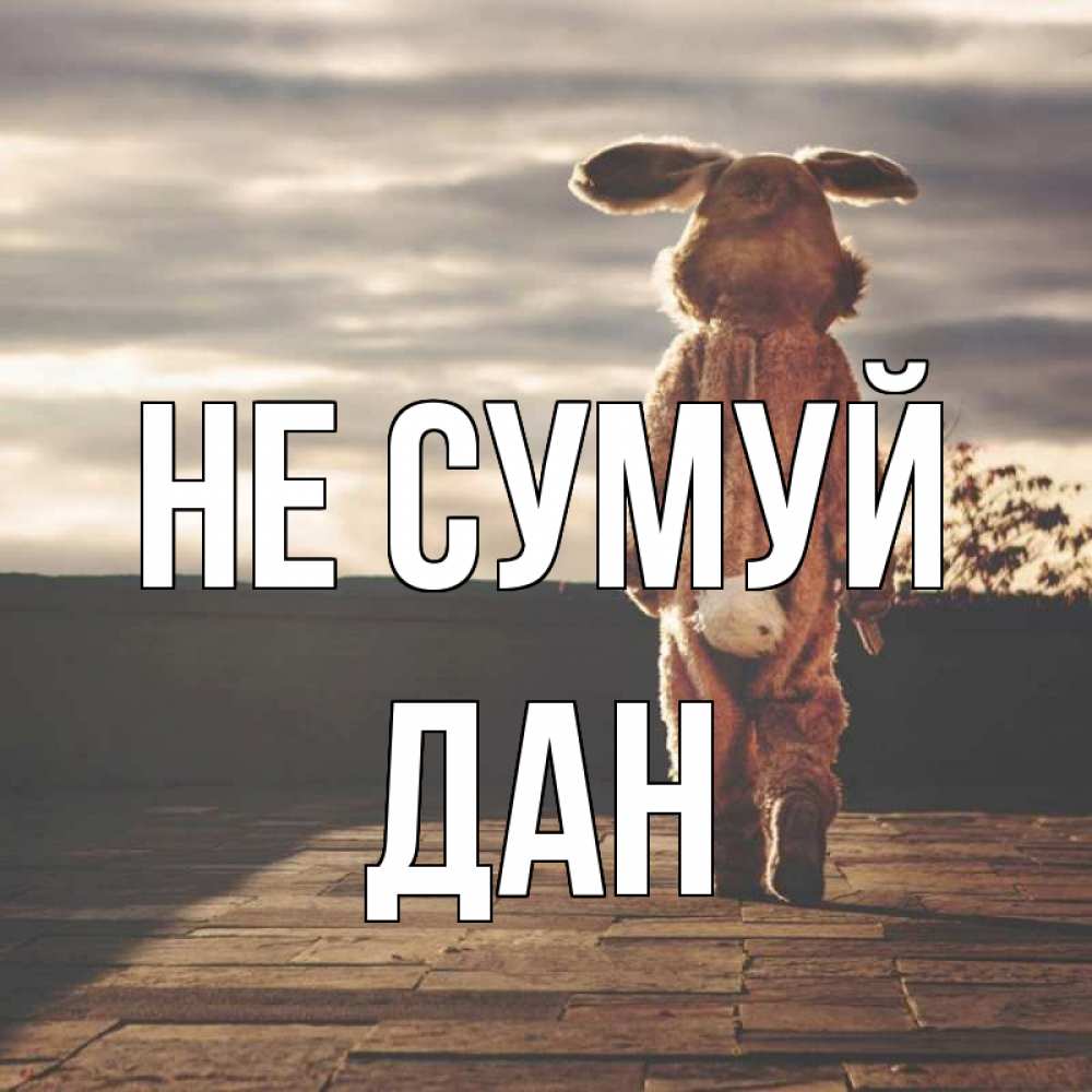 Открытка на каждый день з підписом, Дан Не сумуй со спины Прикольна листівка з побажанням онлайн скачати безкоштовно 