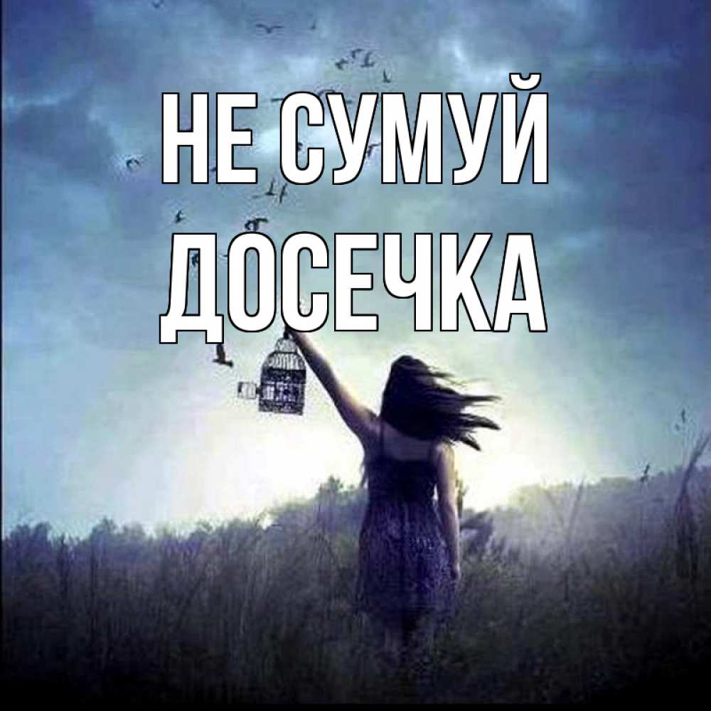 Открытка на каждый день з підписом, Досечка Не сумуй на волю Прикольна листівка з побажанням онлайн скачати безкоштовно 