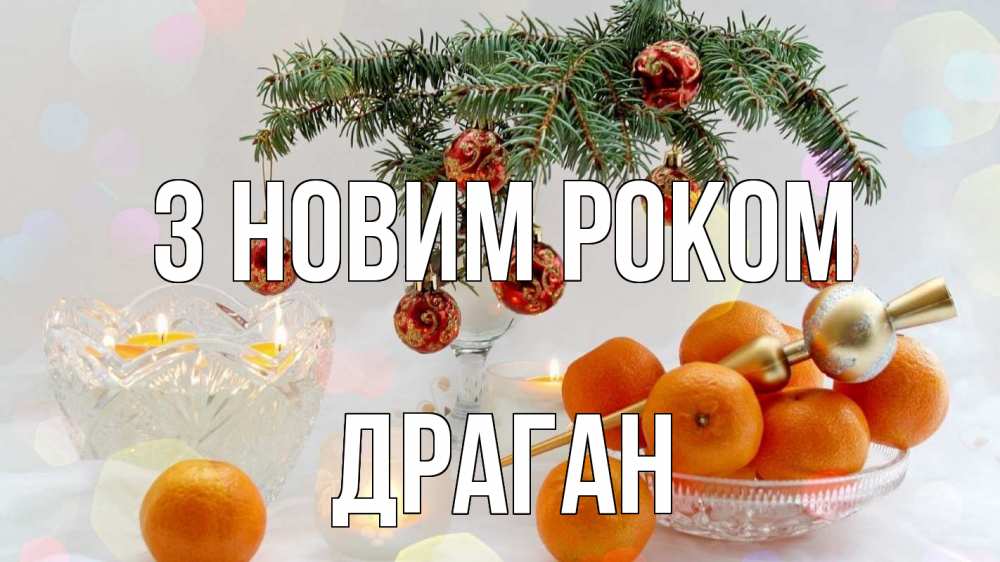 Открытка на каждый день з підписом, Драган З новим роком мандарины Прикольна листівка з побажанням онлайн скачати безкоштовно 