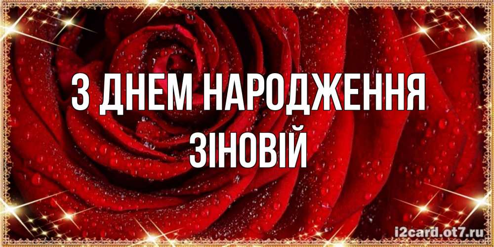 Открытка на каждый день з підписом, Зіновій З Днем народження роса на розе блестящая в лучах солнца Прикольна листівка з побажанням онлайн скачати безкоштовно 