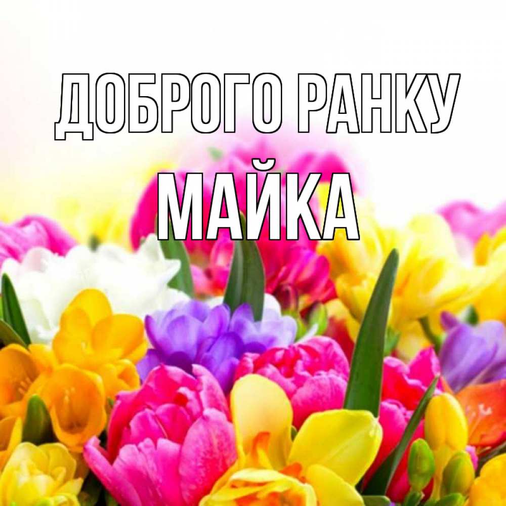 Открытка на каждый день з підписом, Майка Доброго ранку создать открытку со свое подписью Прикольна листівка з побажанням онлайн скачати безкоштовно 