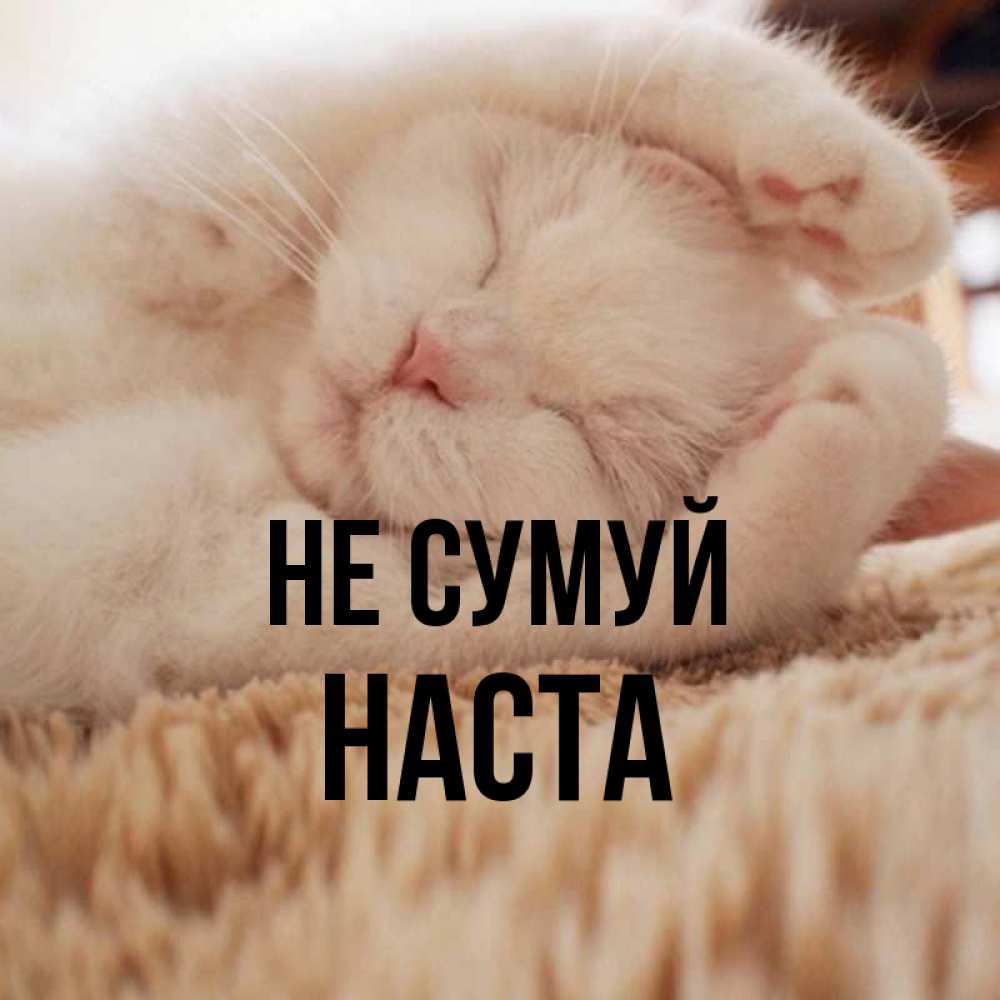 Открытка на каждый день з підписом, Наста Не сумуй Котенок спит Прикольна листівка з побажанням онлайн скачати безкоштовно 
