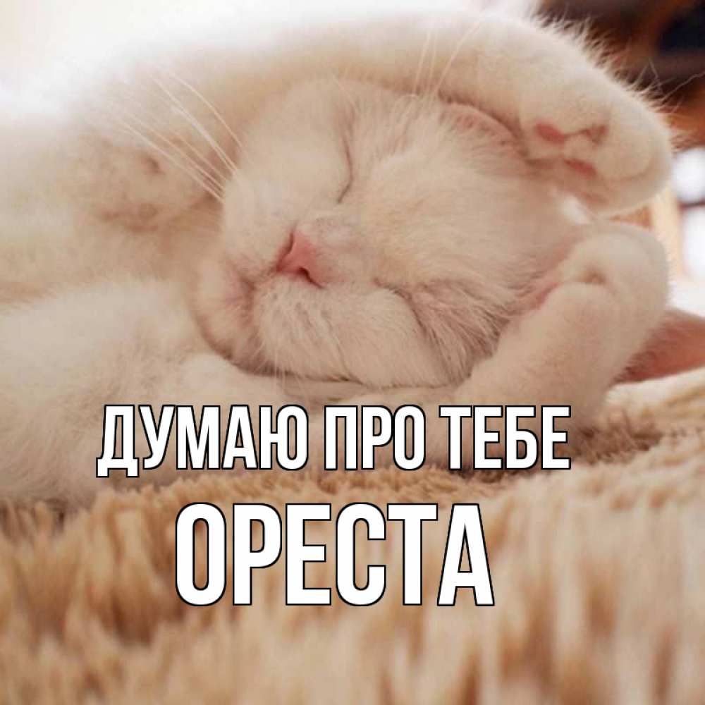 Открытка на каждый день з підписом, Ореста Думаю про тебе для любимой девушки милота Прикольна листівка з побажанням онлайн скачати безкоштовно 
