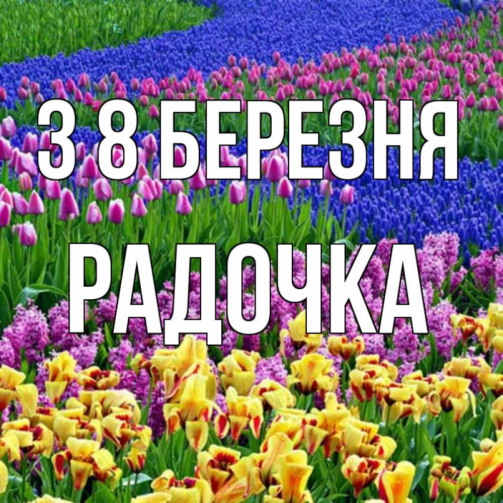 Открытка на каждый день з підписом, Радочка З 8 БЕРЕЗНЯ цветы Прикольна листівка з побажанням онлайн скачати безкоштовно 