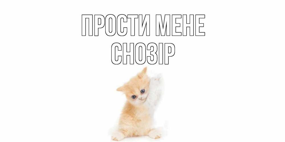 Открытка на каждый день з підписом, Снозір Прости мене кот Прикольна листівка з побажанням онлайн скачати безкоштовно 