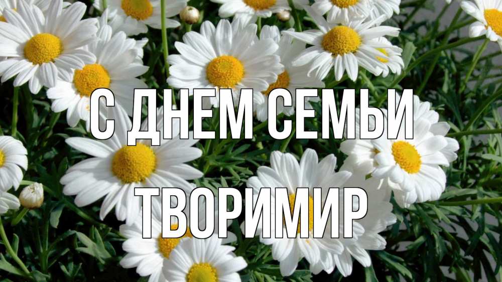 Открытка на каждый день з підписом, Творимир С днем семьи с днем семьи Прикольна листівка з побажанням онлайн скачати безкоштовно 