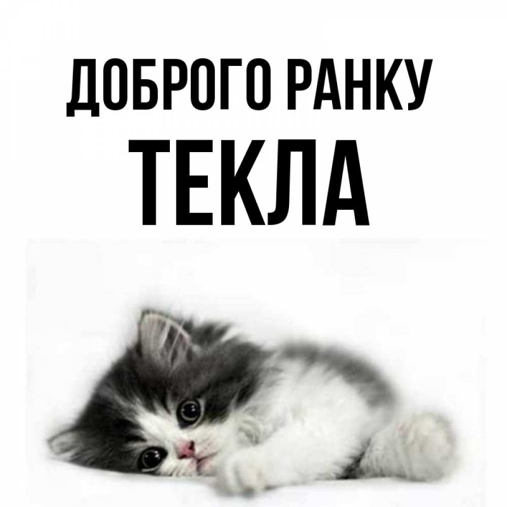 Открытка на каждый день з підписом, Текла Доброго ранку кот лапки Прикольна листівка з побажанням онлайн скачати безкоштовно 