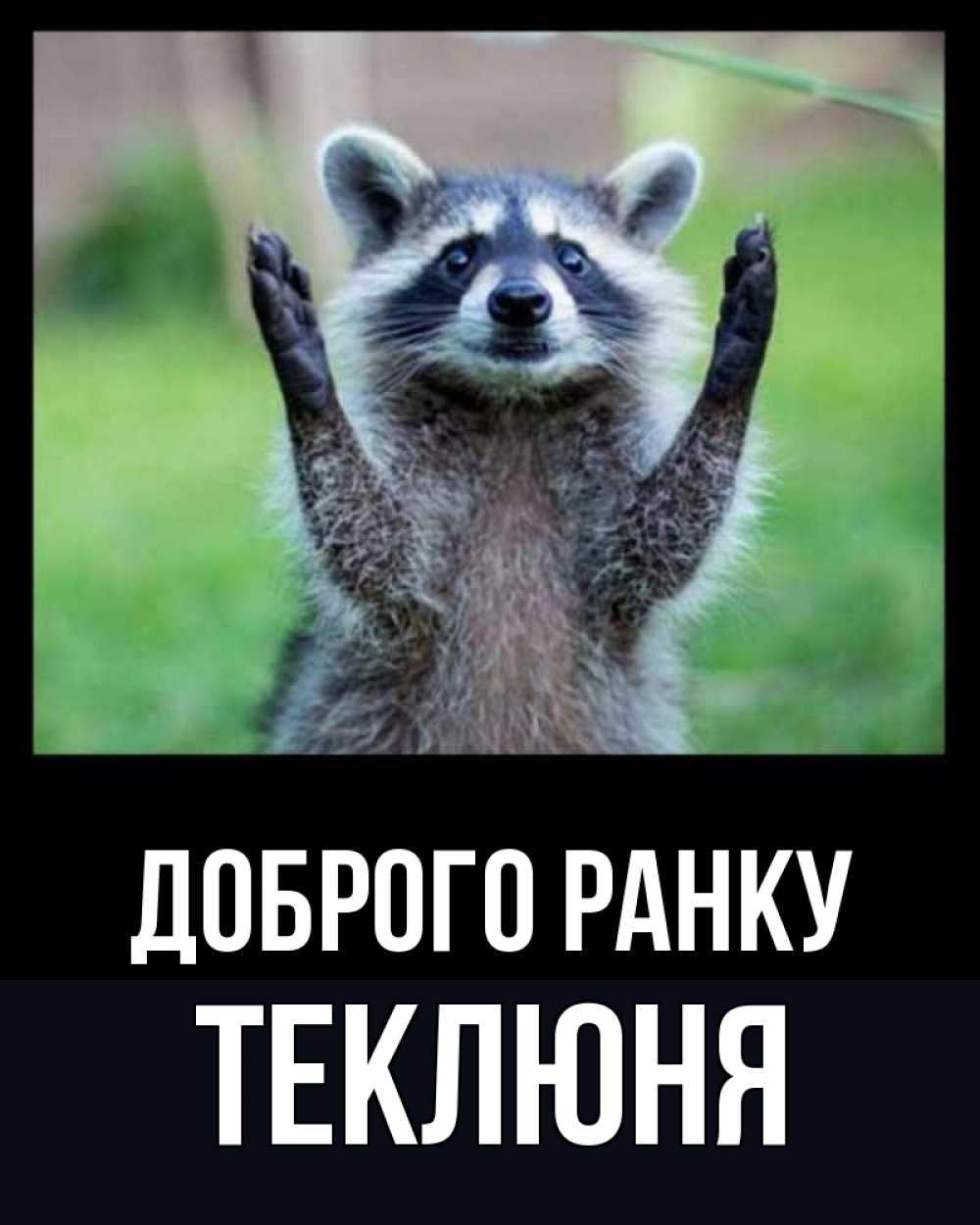 Открытка на каждый день з підписом, Теклюня Доброго ранку хорошее настроение утречком Прикольна листівка з побажанням онлайн скачати безкоштовно 