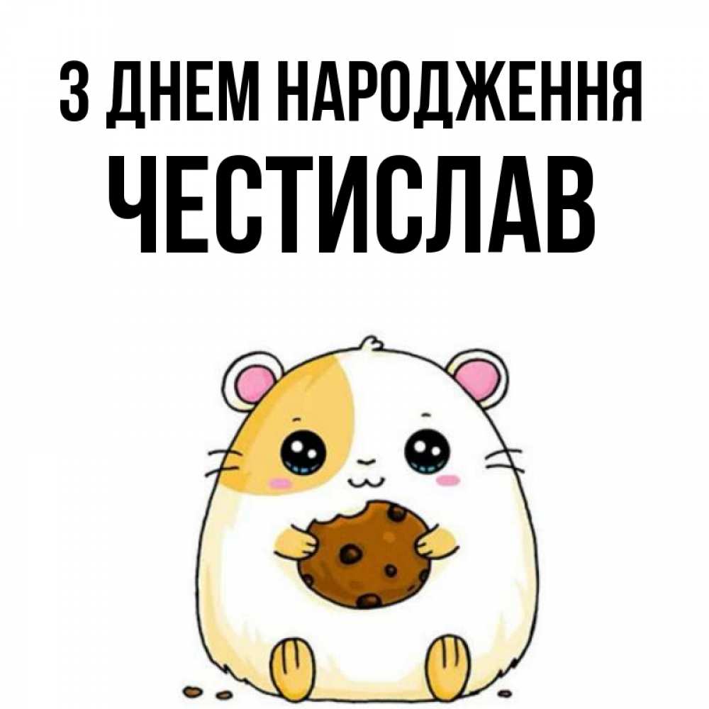 Открытка на каждый день з підписом, Честислав З Днем народження с днюхой Прикольна листівка з побажанням онлайн скачати безкоштовно 