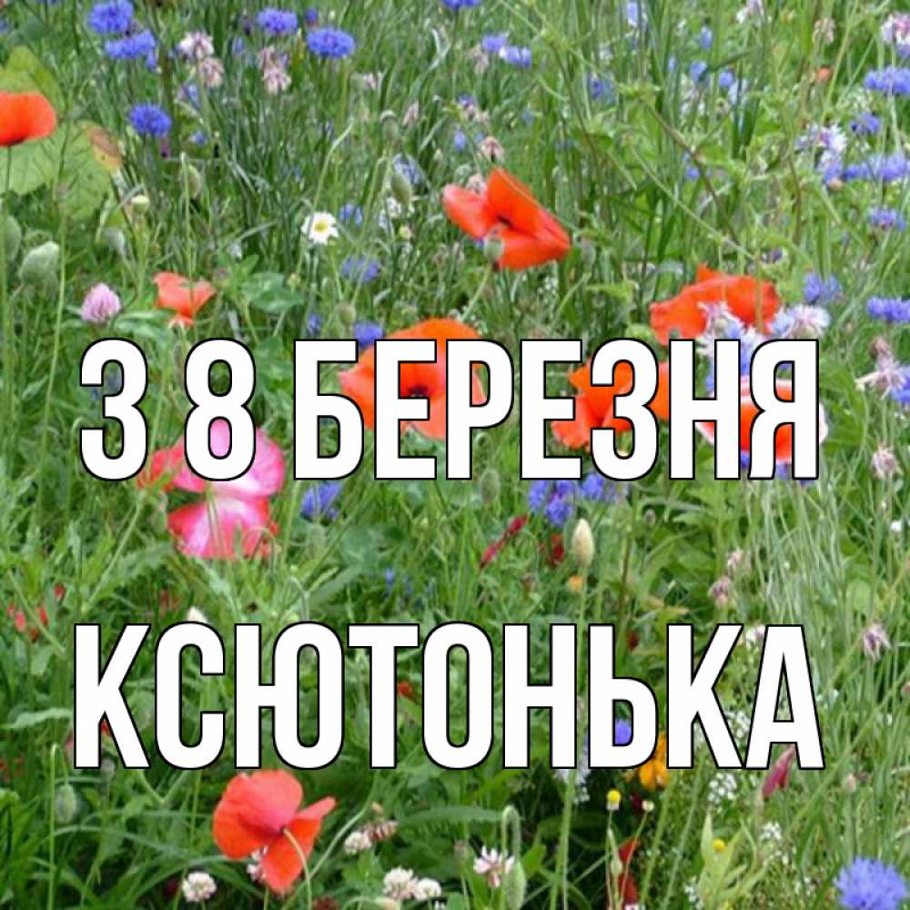 Открытка на каждый день з підписом, Ксютонька З 8 БЕРЕЗНЯ международный женский день 4 Прикольна листівка з побажанням онлайн скачати безкоштовно 