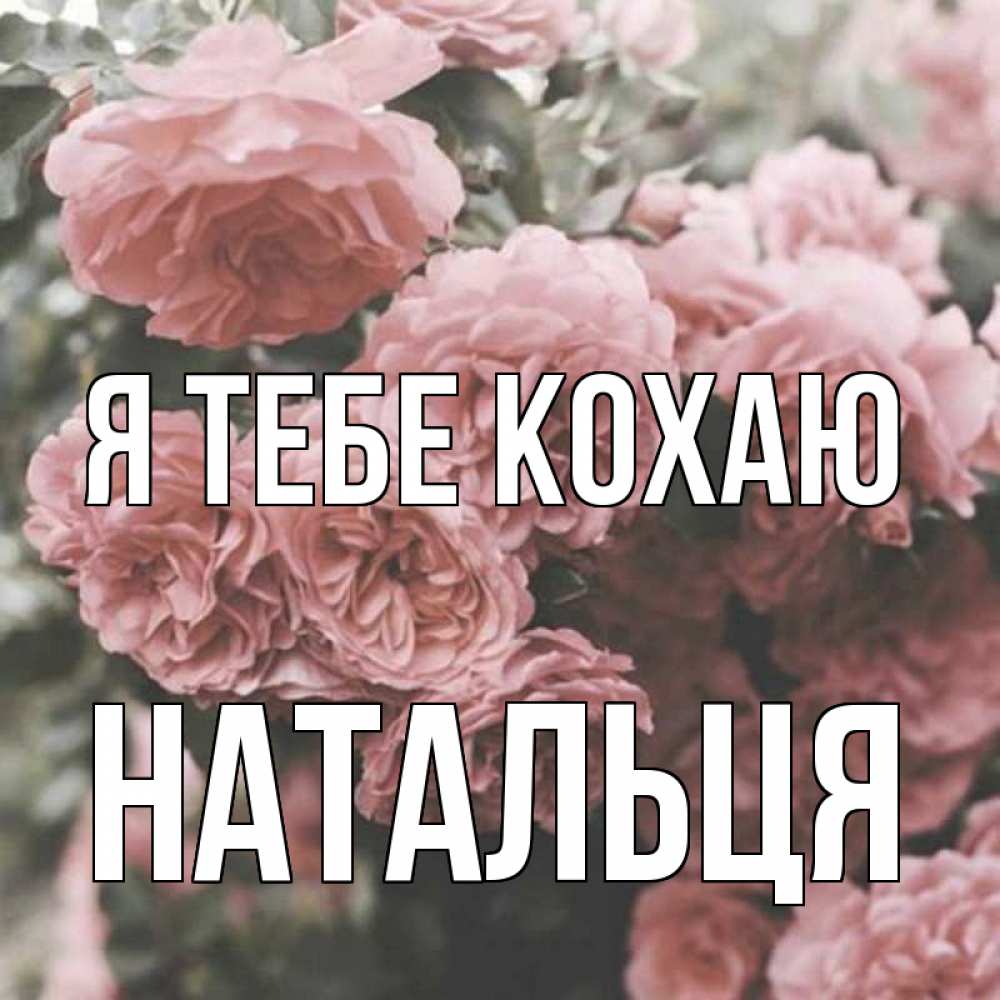 Открытка на каждый день з підписом, Натальця Я тебе кохаю розы 3 Прикольна листівка з побажанням онлайн скачати безкоштовно 