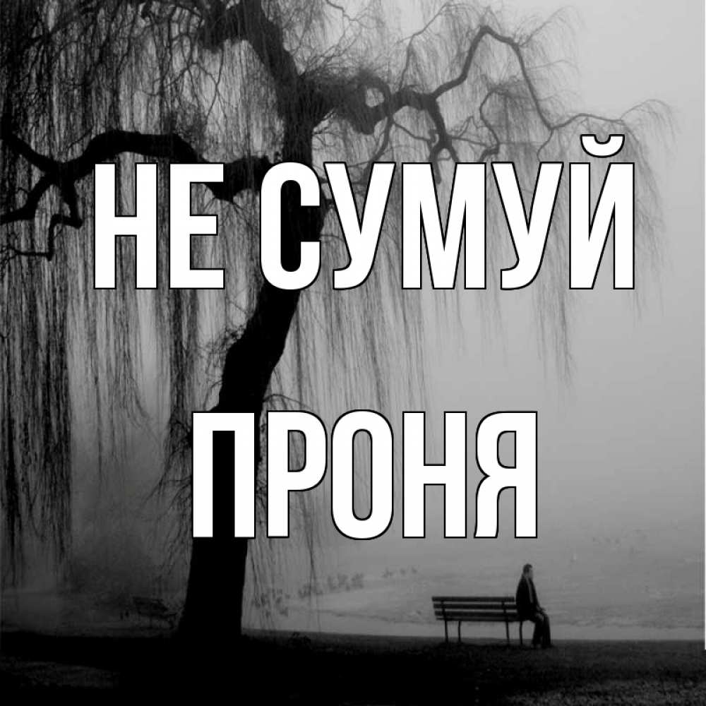 Открытка на каждый день з підписом, Проня Не сумуй висящие ветки дерева и лавочка под деревом Прикольна листівка з побажанням онлайн скачати безкоштовно 
