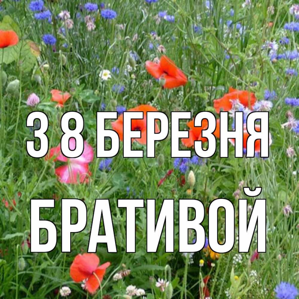 Открытка на каждый день з підписом, Бративой З 8 БЕРЕЗНЯ международный женский день 4 Прикольна листівка з побажанням онлайн скачати безкоштовно 