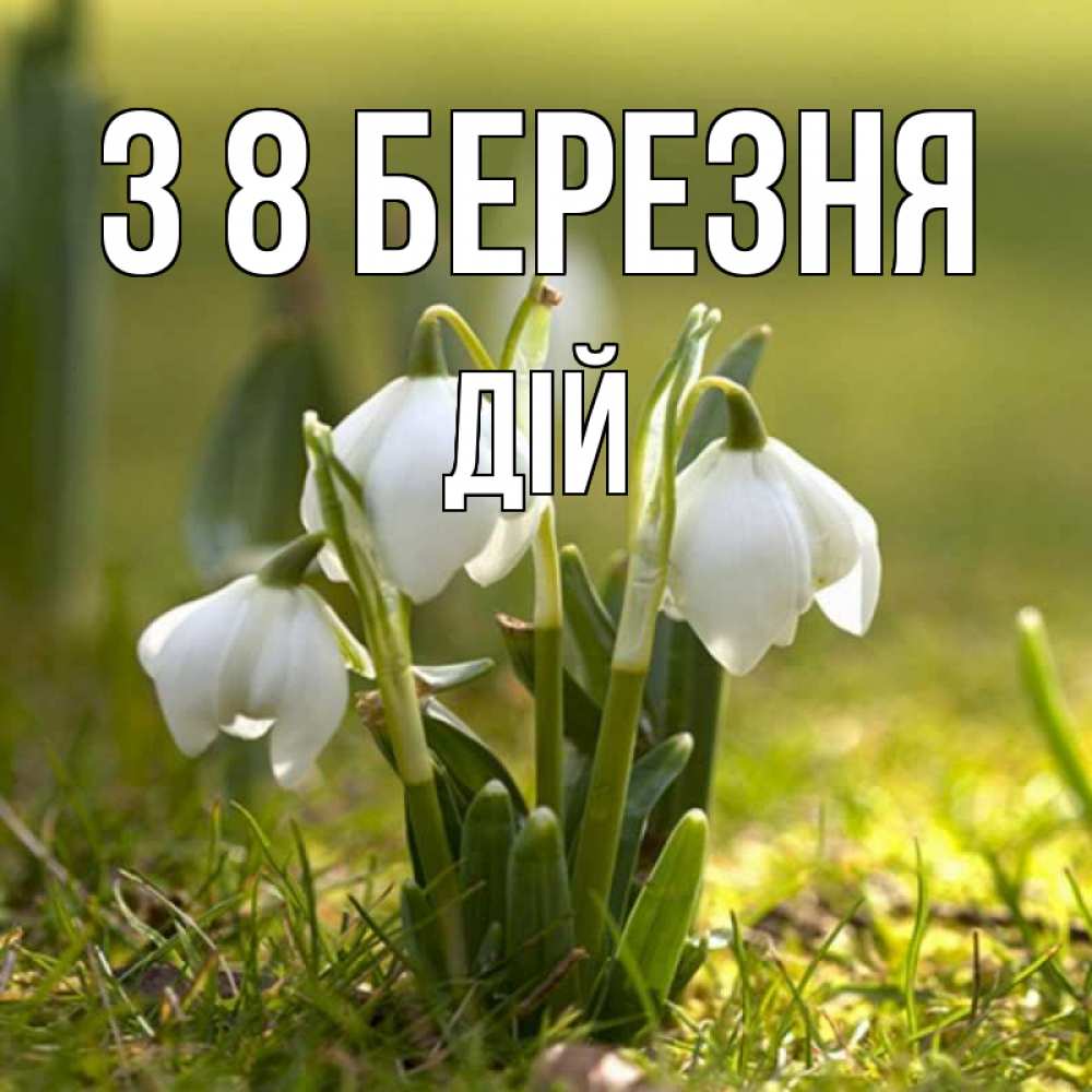 Открытка на каждый день з підписом, Дій З 8 БЕРЕЗНЯ ранние цветы 2 Прикольна листівка з побажанням онлайн скачати безкоштовно 