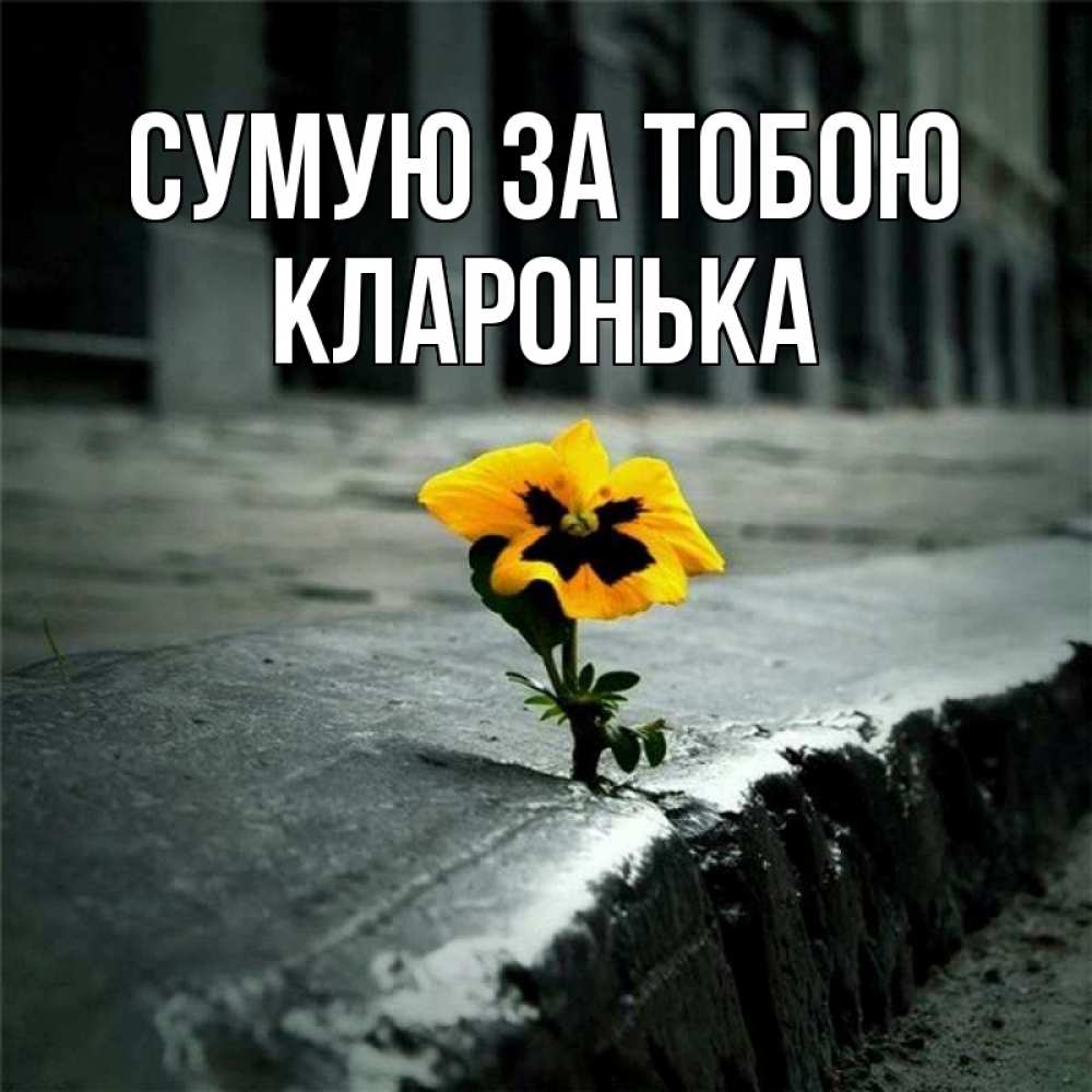 Открытка на каждый день з підписом, Кларонька Сумую за тобою надеюсь будет лучше Прикольна листівка з побажанням онлайн скачати безкоштовно 
