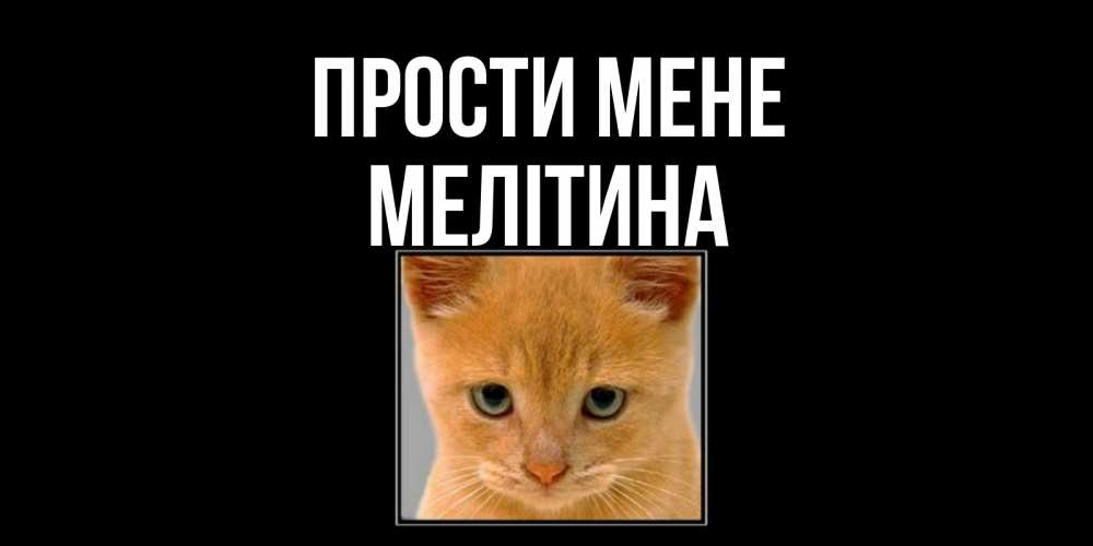 Открытка на каждый день з підписом, Мелітина Прости мене рыжий грустный кот просит прощения Прикольна листівка з побажанням онлайн скачати безкоштовно 