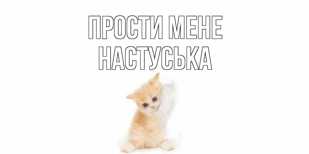 Открытка на каждый день з підписом, Настуська Прости мене кот Прикольна листівка з побажанням онлайн скачати безкоштовно 