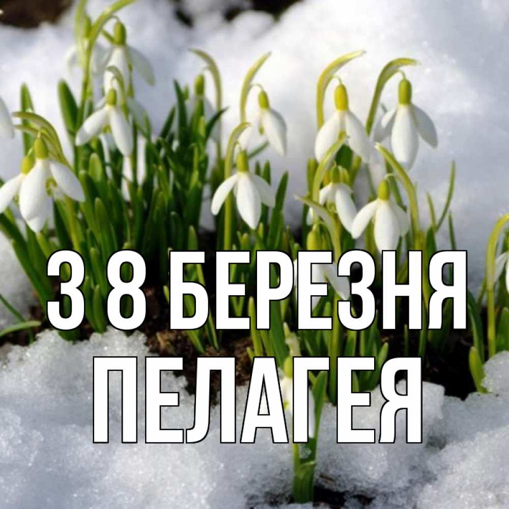 Открытка на каждый день з підписом, Пелагея З 8 БЕРЕЗНЯ цветы весенние Прикольна листівка з побажанням онлайн скачати безкоштовно 