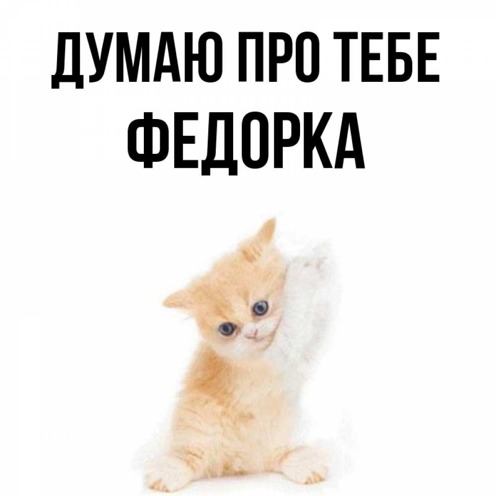 Открытка на каждый день з підписом, Федорка Думаю про тебе зверушки и милота Прикольна листівка з побажанням онлайн скачати безкоштовно 