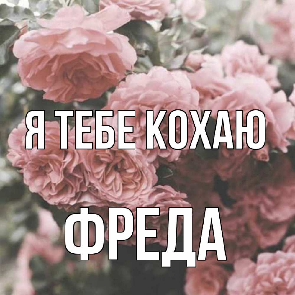 Открытка на каждый день з підписом, Фреда Я тебе кохаю розы 3 Прикольна листівка з побажанням онлайн скачати безкоштовно 