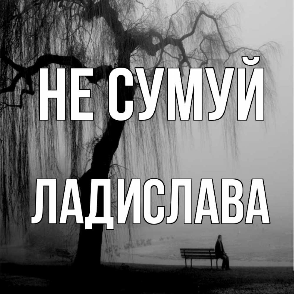 Открытка на каждый день з підписом, Ладислава Не сумуй висящие ветки дерева и лавочка под деревом Прикольна листівка з побажанням онлайн скачати безкоштовно 