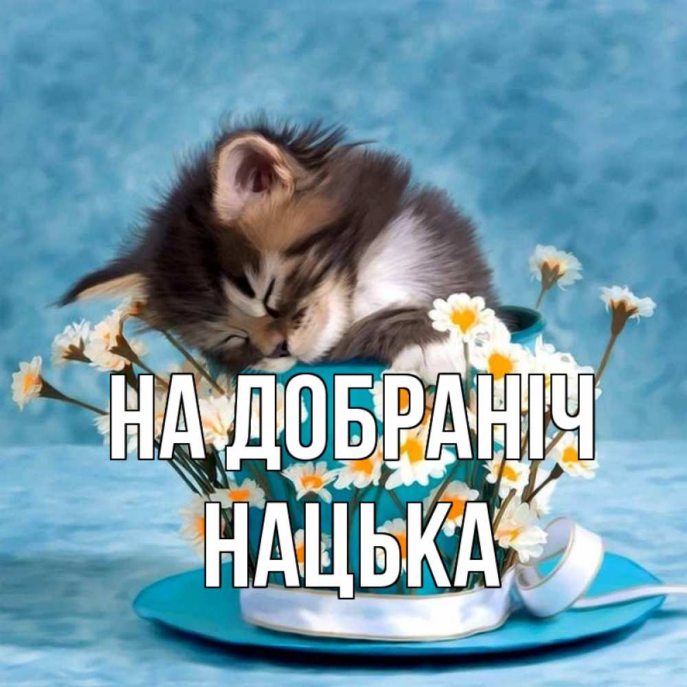 Открытка на каждый день з підписом, Нацька На добраніч котенок спит в кружке с блюдцем Прикольна листівка з побажанням онлайн скачати безкоштовно 