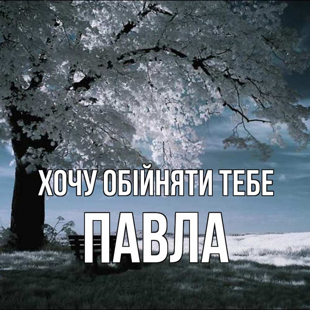 Открытка на каждый день з підписом, Павла Хочу обійняти тебе дерево Прикольна листівка з побажанням онлайн скачати безкоштовно 