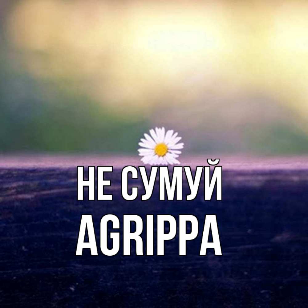 Открытка на каждый день з підписом, Agrippa Не сумуй красота Прикольна листівка з побажанням онлайн скачати безкоштовно 