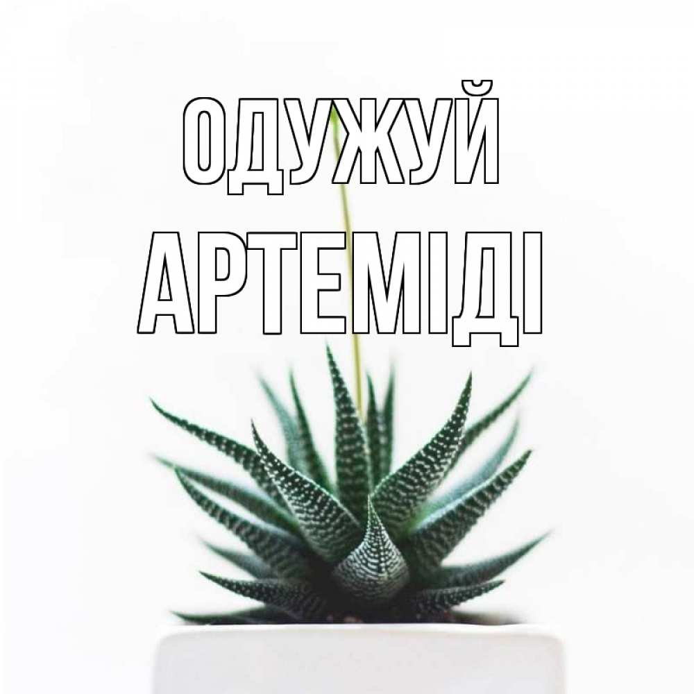 Открытка на каждый день з підписом, Артеміді Одужуй короче это непонятная колючка Прикольна листівка з побажанням онлайн скачати безкоштовно 