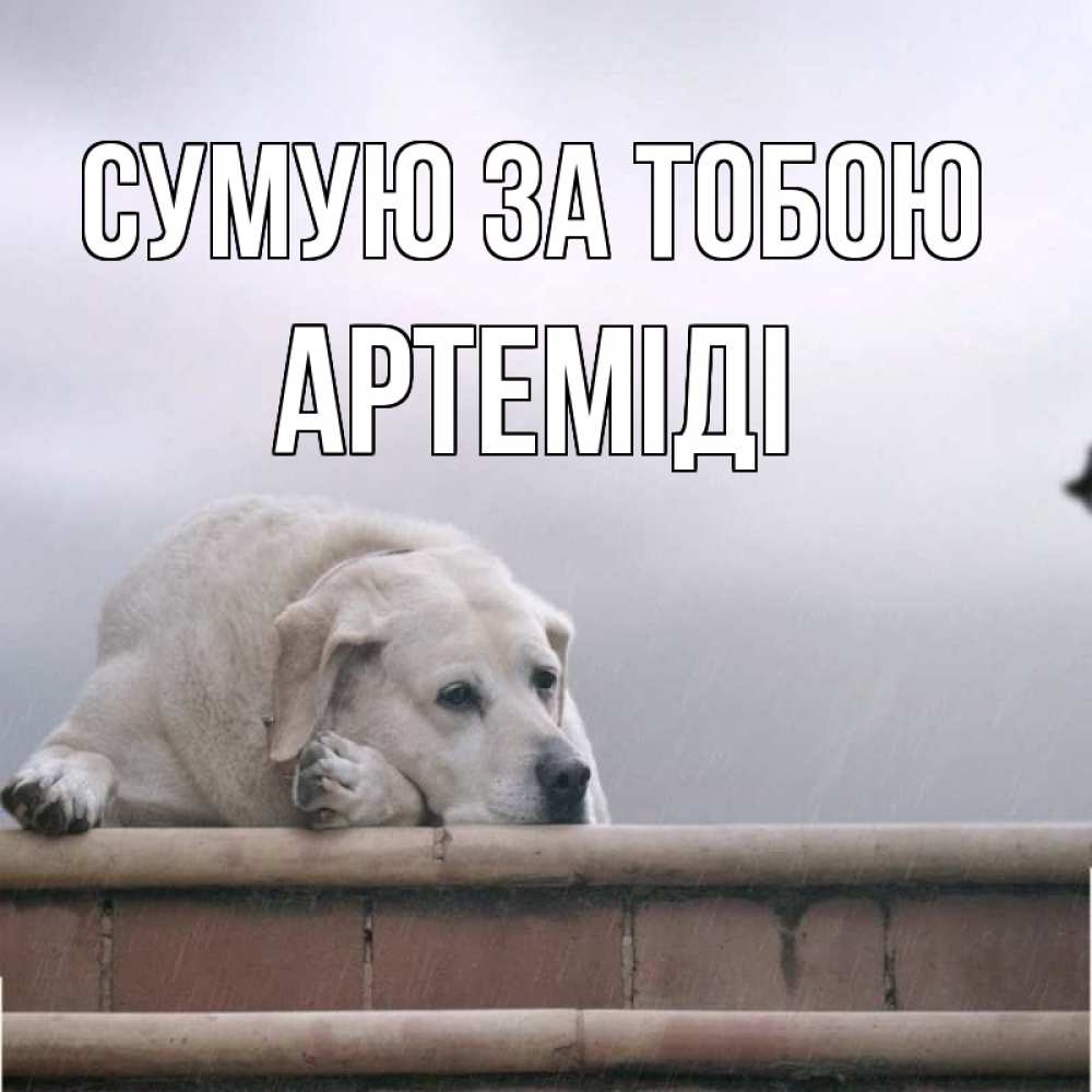 Открытка на каждый день з підписом, Артеміді Сумую за тобою ждет Прикольна листівка з побажанням онлайн скачати безкоштовно 