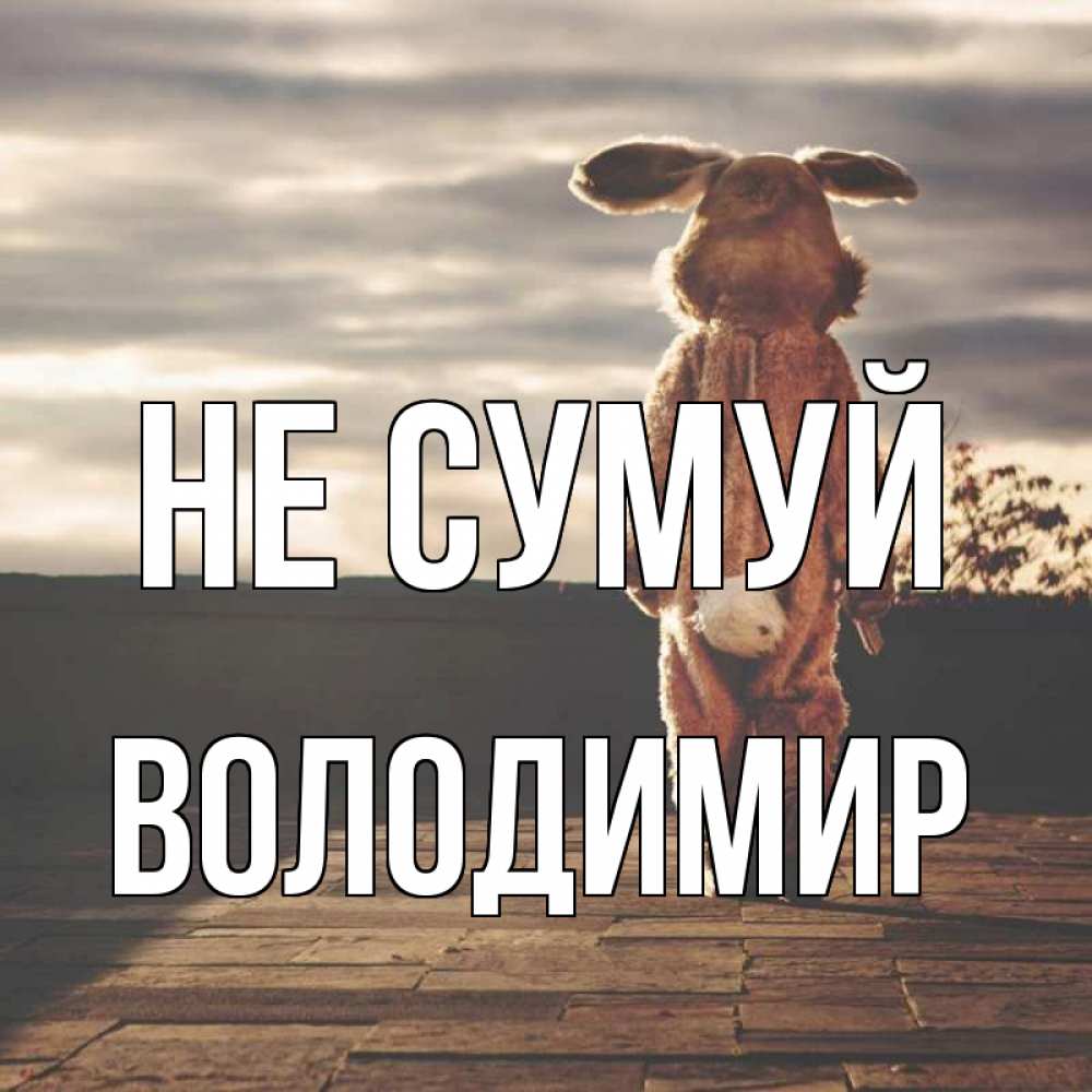 Открытка на каждый день з підписом, Володимир Не сумуй со спины Прикольна листівка з побажанням онлайн скачати безкоштовно 