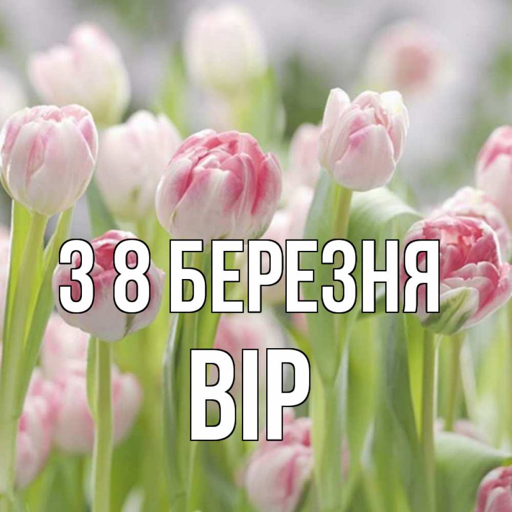 Открытка на каждый день з підписом, Вір З 8 БЕРЕЗНЯ цветы Прикольна листівка з побажанням онлайн скачати безкоштовно 