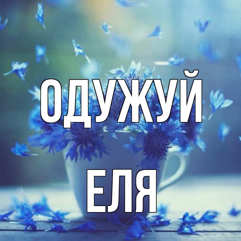 Открытка на каждый день з підписом, Еля Одужуй кружка с зельем и цветами Прикольна листівка з побажанням онлайн скачати безкоштовно 