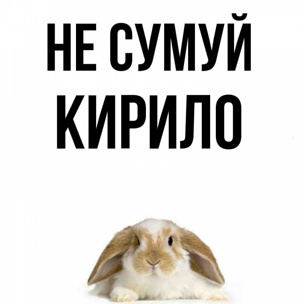 Открытка на каждый день з підписом, Кирило Не сумуй коричнево белый заяц с большими ушками Прикольна листівка з побажанням онлайн скачати безкоштовно 