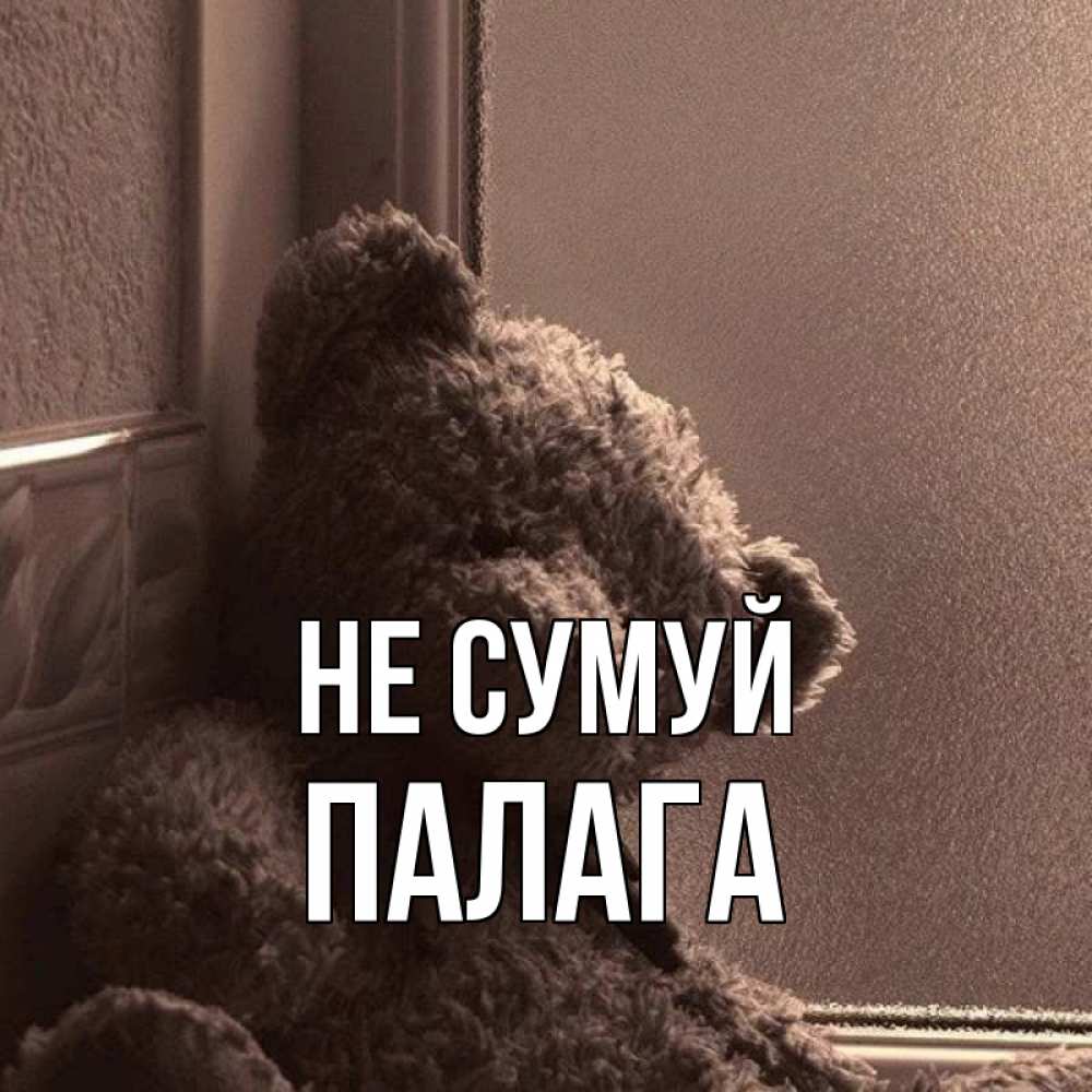 Открытка на каждый день з підписом, Палага Не сумуй стекол рефленое Прикольна листівка з побажанням онлайн скачати безкоштовно 