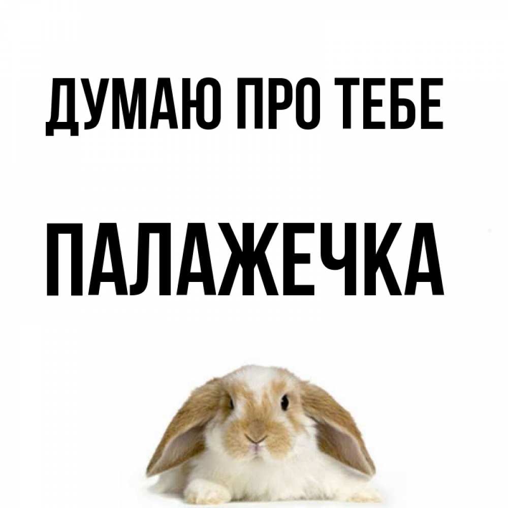 Открытка на каждый день з підписом, Палажечка Думаю про тебе подписать своими руками онлайн Прикольна листівка з побажанням онлайн скачати безкоштовно 