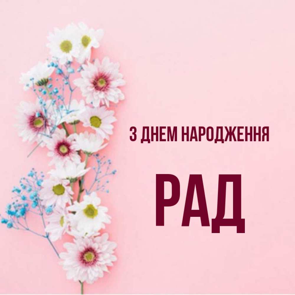 Открытка на каждый день з підписом, Рад З Днем народження Родная моя с днем рождения тебя картинка с цветами белыми и голубыми Прикольна листівка з побажанням онлайн скачати безкоштовно 