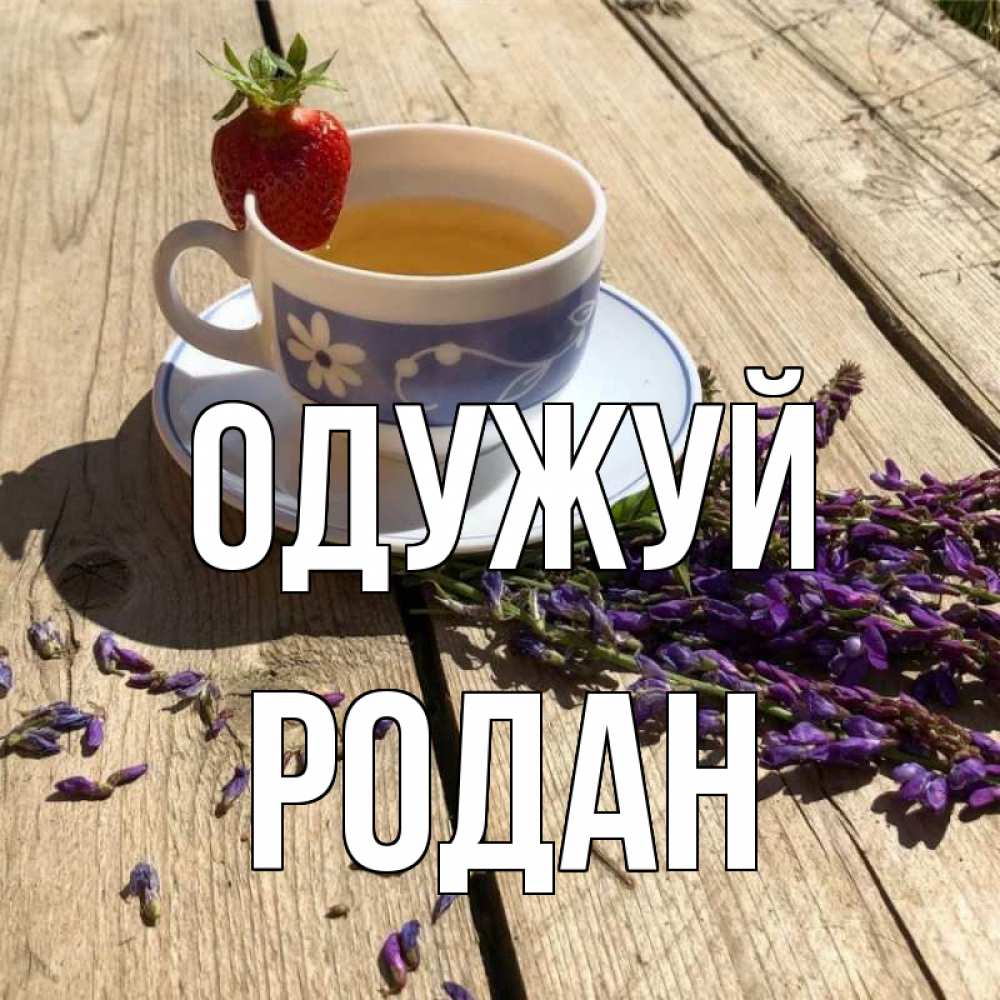 Открытка на каждый день з підписом, Родан Одужуй чай Прикольна листівка з побажанням онлайн скачати безкоштовно 