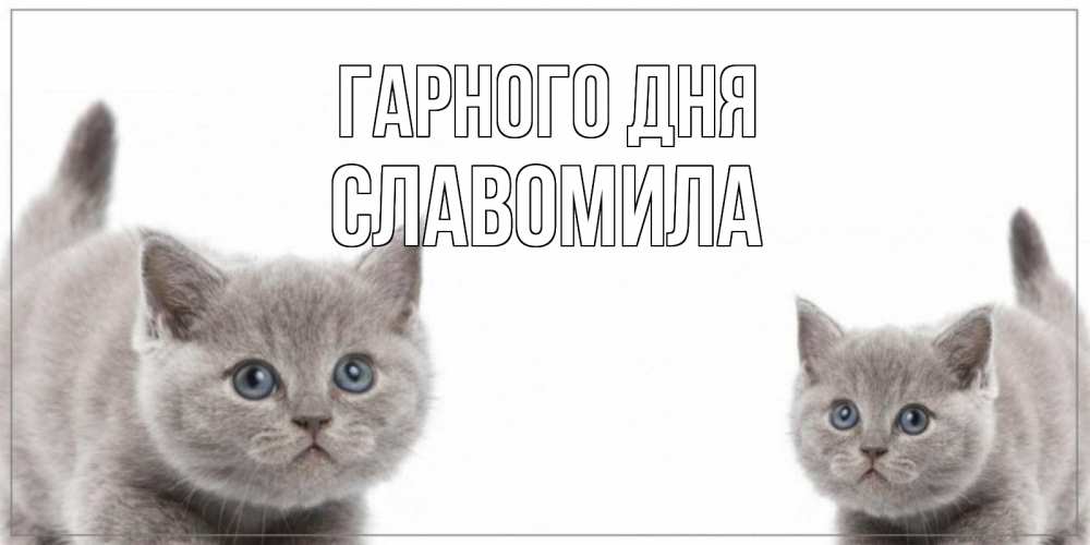 Открытка на каждый день з підписом, Славомила Гарного дня открытка с котами Прикольна листівка з побажанням онлайн скачати безкоштовно 