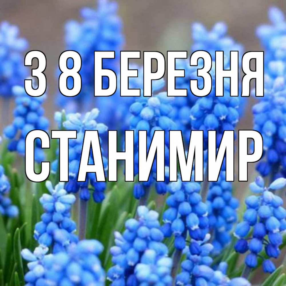 Открытка на каждый день з підписом, Станимир З 8 БЕРЕЗНЯ Поздравительная открытка для женщин с цветами на праздничную дату Прикольна листівка з побажанням онлайн скачати безкоштовно 