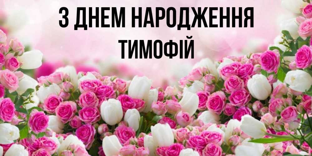 Открытка на каждый день з підписом, Тимофій З Днем народження открытка с разными розами Прикольна листівка з побажанням онлайн скачати безкоштовно 