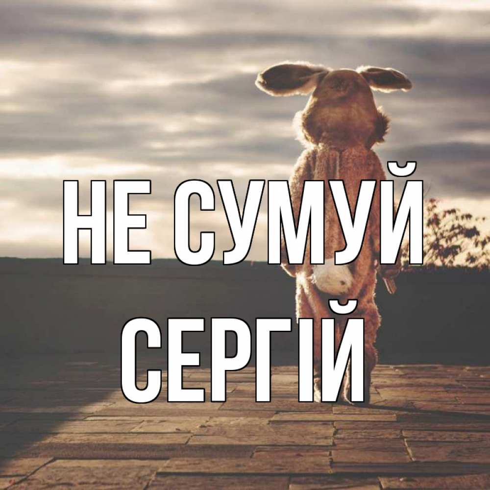 Открытка на каждый день з підписом, Сергій Не сумуй со спины Прикольна листівка з побажанням онлайн скачати безкоштовно 