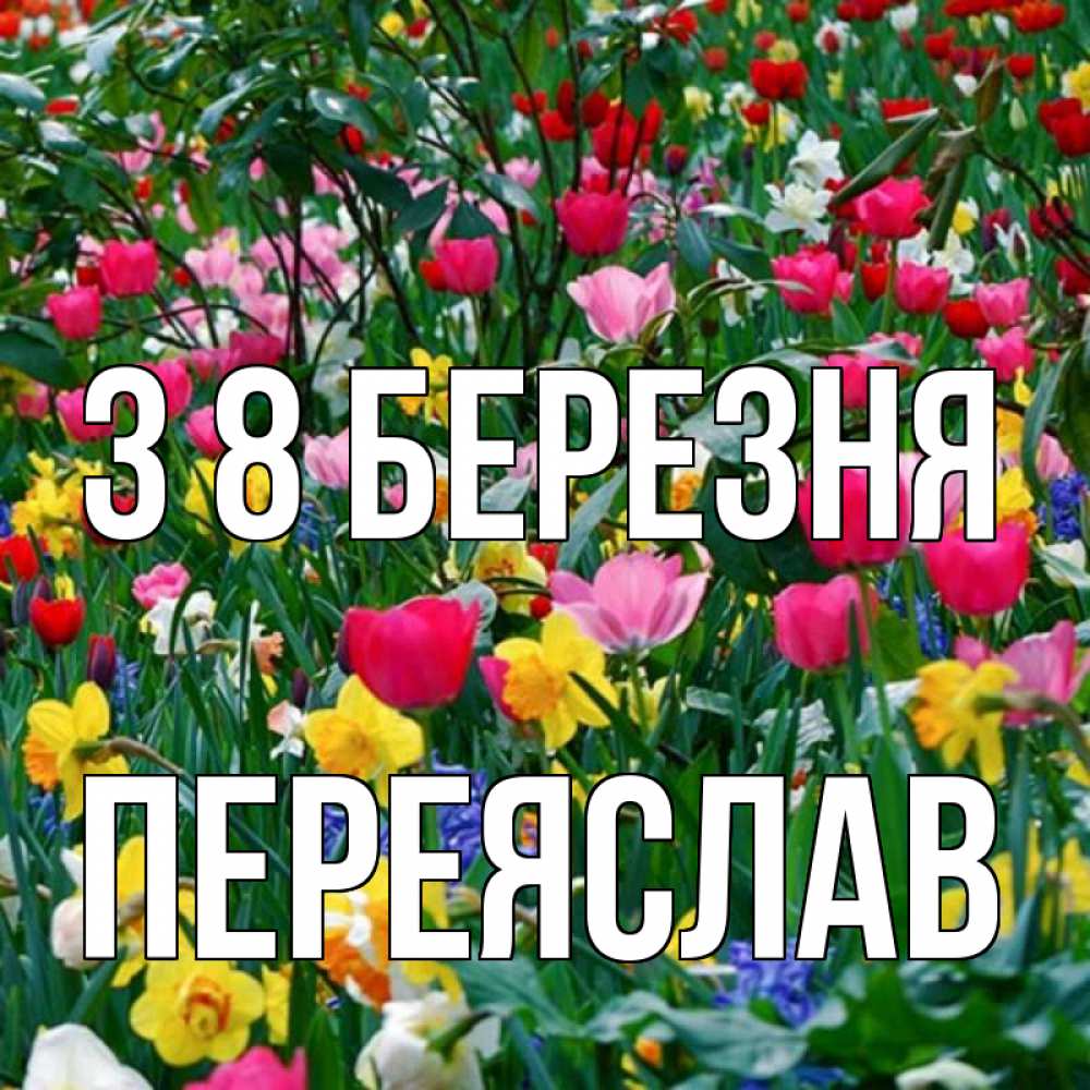 Открытка на каждый день з підписом, Переяслав З 8 БЕРЕЗНЯ с международным женским днем поздравления для женщины Прикольна листівка з побажанням онлайн скачати безкоштовно 