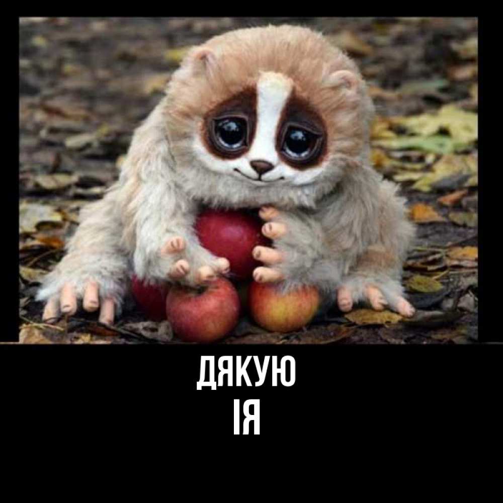 Открытка на каждый день з підписом, Ія Дякую прикольное животное Прикольна листівка з побажанням онлайн скачати безкоштовно 