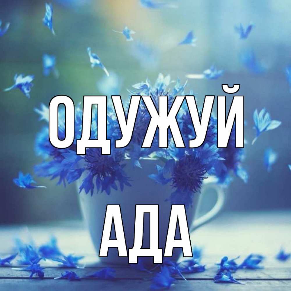 Открытка на каждый день з підписом, Ада Одужуй кружка с зельем и цветами Прикольна листівка з побажанням онлайн скачати безкоштовно 